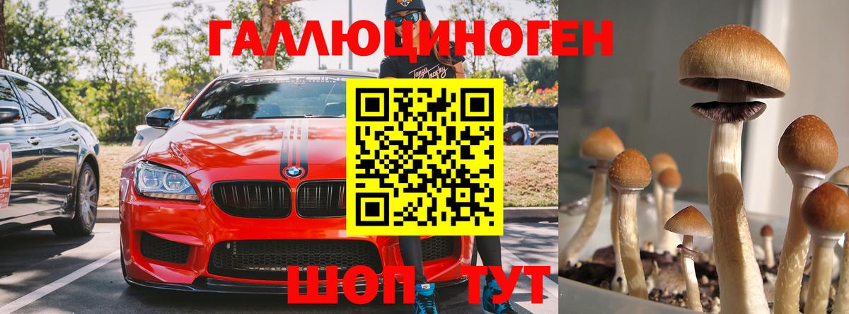 Батайск  Псилоцибиновые грибы мухоморы  Вход с VPN 